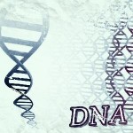 dns dns